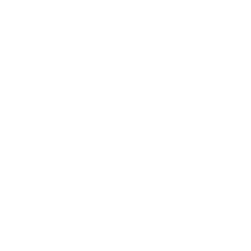 Brilliant Academic Minds